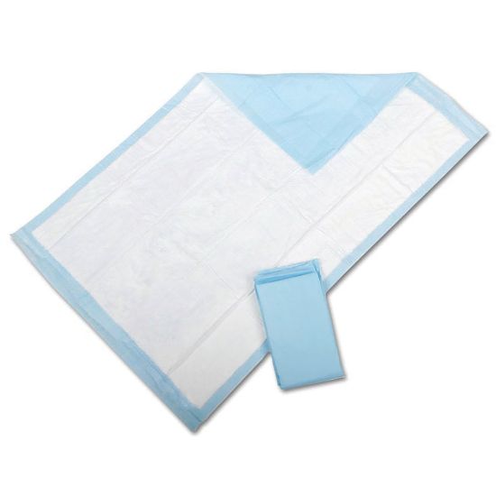 Picture of Protection Plus Fluff-Filled Disposable Underpads, Economy, 23in x 36in, 25 Underpads Per Bag, Case Of 6 Bags