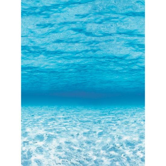 Picture of Pacon Fadeless Designs Bulletin Board Paper, 48in x 50ft, Under The Sea