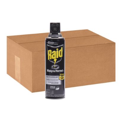 Picture of Raid Wasp/Hornet Killer Spray - Spray - Kills Hornet, Wasp, Mud Dauber, Yellow Jacket, Bugs - 14 fl oz - White - 12 / Carton