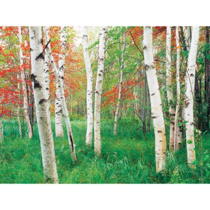 Picture of Biggies Landscape/Seascape Mural, 32in x 24in, Unframed, Aspen