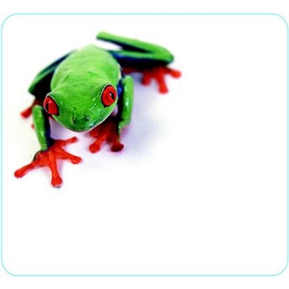 Picture of Allsop Soft Cloth Mouse Pad, 9.75in x 10in, Tree Frog