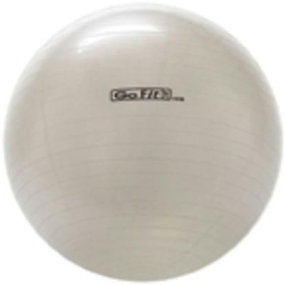 Picture of GoFit Exercise Ball With Pump, 65 cm, White