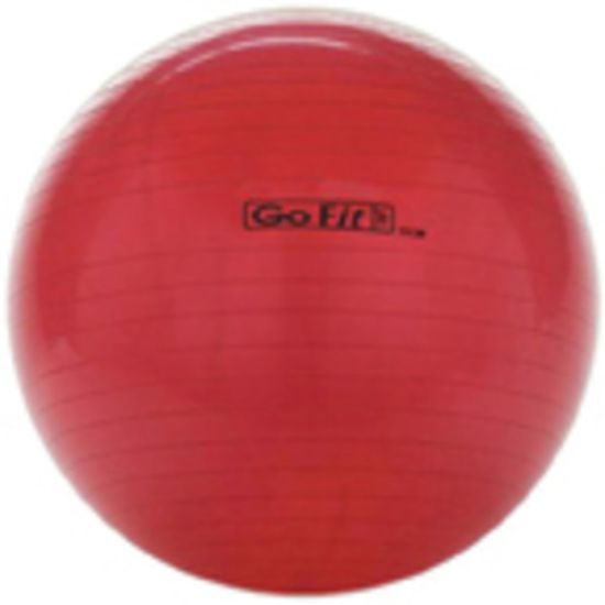 Picture of GoFit Exercise Ball With Pump, 55 cm, Red