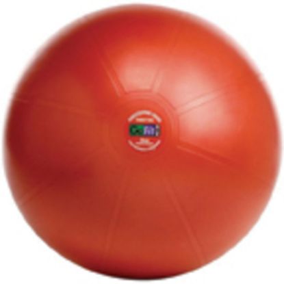 Picture of GoFit Professional Stability Ball With Core Performance Training DVD, 55 CM, Dark Red