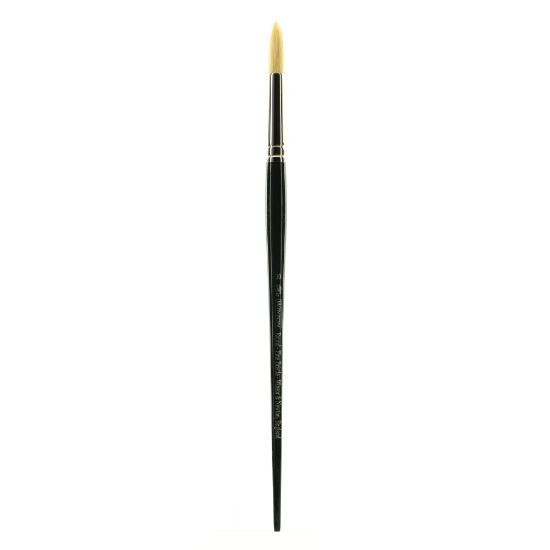 Picture of Winsor & Newton Winton Hog Paint Brush, Size 10, Round Bristle, Hog Hair, Green