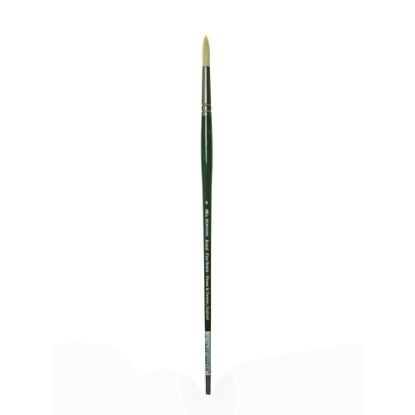 Picture of Winsor & Newton Winton Hog Paint Brush, Size 6, Round Bristle, Hog Hair, Green