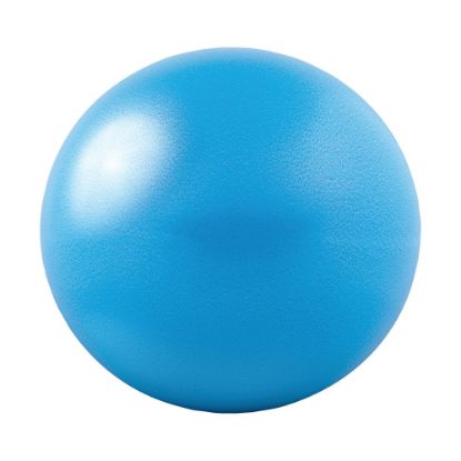 Picture of GoFit Core Ab Ball