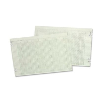 Picture of Wilson Jones Columnar Ruled Sheets, 11in x 17in, 36 Lines, 24 Columns, 100/Pack - 24 lb - Double Sided Sheet - Ledger - 17in x 11in Sheet Size - 2 x Holes - Green Sheet(s) - Brown, Green Print Color - Paper - 100 / Pack