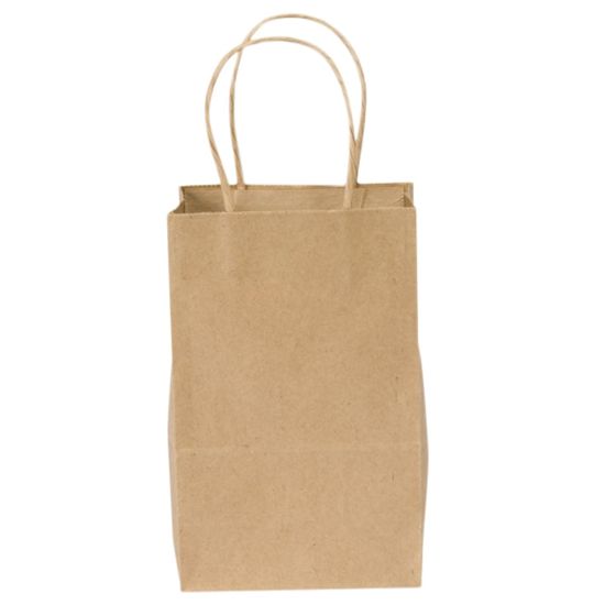 Picture of Duro Bag Novolex Paper Shopping Bags, 8 3/8inH x 5 1/4inW x 3 1/4inD, Kraft, Carton Of 250