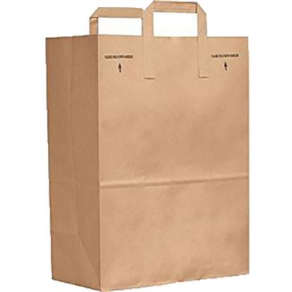 Picture of Duro Bag Novolex Paper Shopping Bags With Handles, 17inH x 12inW x 7inD, Kraft, Carton Of 300