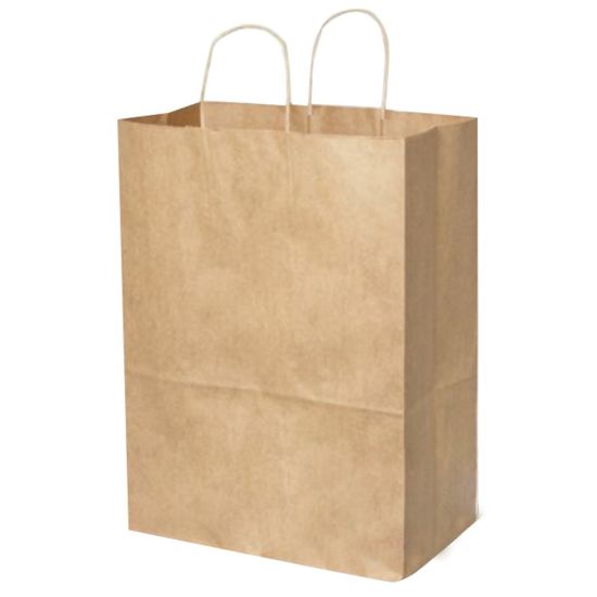 Picture of Duro Bag Novolex Paper Bistro Carry-Out Bags, 12inH x 10inW x 7inD, Kraft, Carton Of 250