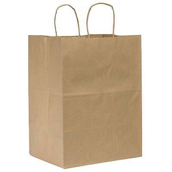 Picture of Duro Bag Novolex Paper Bags With Handles, 15 3/4inH x 12inW x 9inD, Kraft, Carton Of 200