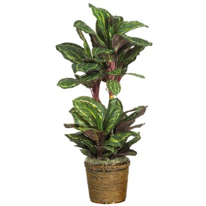 Picture of Nearly Natural 45in Silk Maranta Plant With Basket