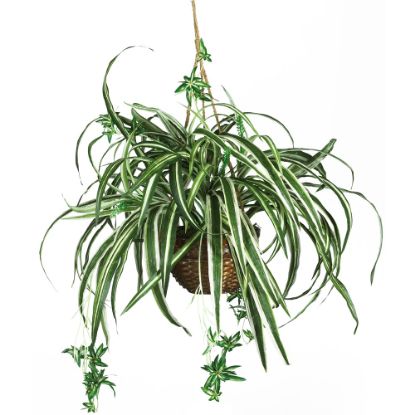 Picture of Nearly Natural 27in Silk Hanging Spider Plant With Basket