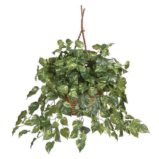 Picture of Nearly Natural 26in Pothos Hanging Plant With Basket