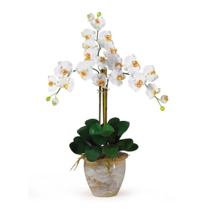 Picture of Nearly Natural 27in Triple Stem Orchid With Vase, Cream