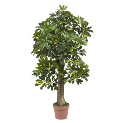 Picture of Nearly Natural 4ft Schefflera Tree, Green