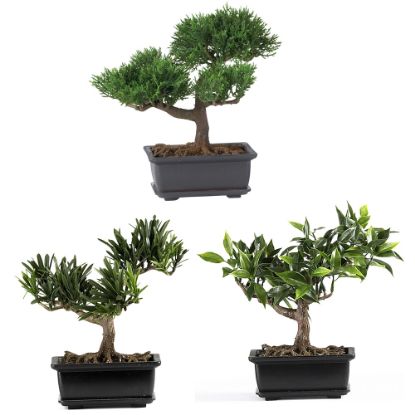 Picture of Nearly Natural 8 1/2in Silk Bonsai Plant With Pot, 8 1/2inH x 8 1/2inW x 5inD, Set of 3