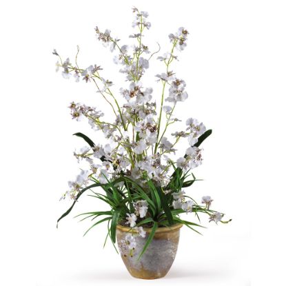 Picture of Nearly Natural 26in Dancing Lady Orchid With Vase