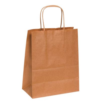 Picture of Partners Brand Paper Shopping Bags, 10 1/4inH x 8inW x 4 1/2inD, Kraft, Case Of 250