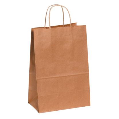 Picture of Partners Brand Paper Shopping Bags, 13inH x 10inW x 5inD, Kraft, Case Of 250