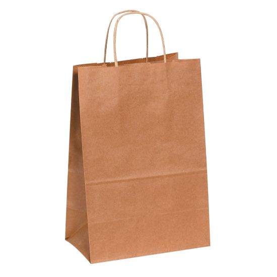 Picture of Partners Brand Paper Shopping Bags, 13inH x 10inW x 5inD, Kraft, Case Of 250