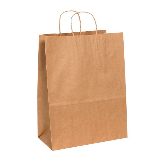 Picture of Partners Brand Paper Shopping Bags, 17inH x 13inW x 7inD, Kraft, Case Of 250