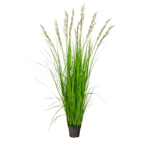 Picture of Nearly Natural Plume Grass 66inH Artificial Plant With Planter, 66inH x 24inW x 24inD, Green/Black