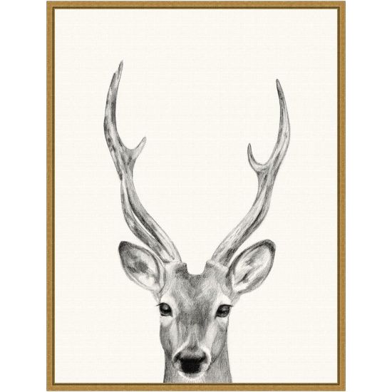 Picture of Amanti Art Animal Mug IV Deer by Victoria Borges Framed Canvas Wall Art Print, 24inH x 18inW, Gold