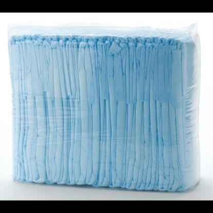 Picture of FitRight Basic Disposable Briefs, Large, Blue/White, 25 Briefs Per Bag, Case Of 4 Bags