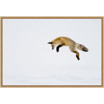 Picture of Amanti Art Red Fox in Snow by Deborah Winchester Framed Canvas Wall Art Print, 23in x 16in, Maple