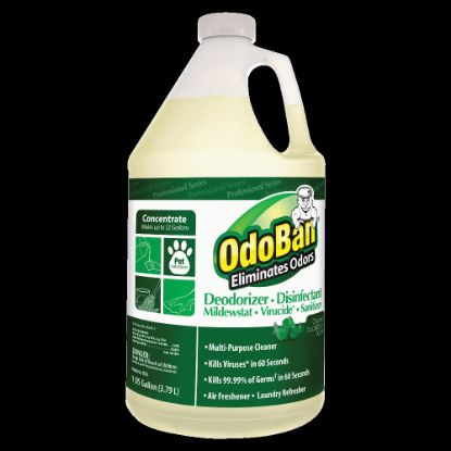 Picture of OdoBan Multi-Purpose Deodorizer & Disinfectant Concentrate, Eucalyptus Scent, 128 Oz Bottle