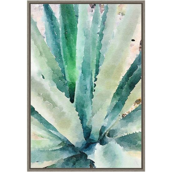 Picture of Amanti Art Rustic Succulent II by Irena Orlov Framed Canvas Wall Art Print, 16in x 23in, Graywash