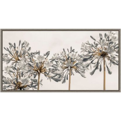 Picture of Amanti Art African Lily Flowers II by Assaf Frank Framed Canvas Wall Art Print, 14inH x 27inW, Graywash