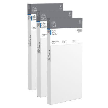 Picture of Winsor & Newton Professional Cotton-Stretched Traditional Canvases, 6in x 12in, White, Pack Of 2