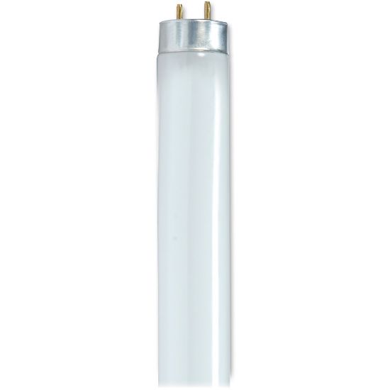 Picture of Satco 48in T8 Fluorescent Bulbs, 32 Watt, Carton Of 6