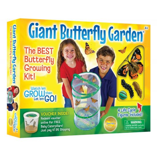 Picture of Insect Lore Giant Butterfly Garden