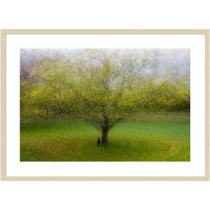 Picture of Amanti Art The Cat By The Tree by Arne Ostlund Wood Framed Wall Art Print, 41inW x 30inH, Natural