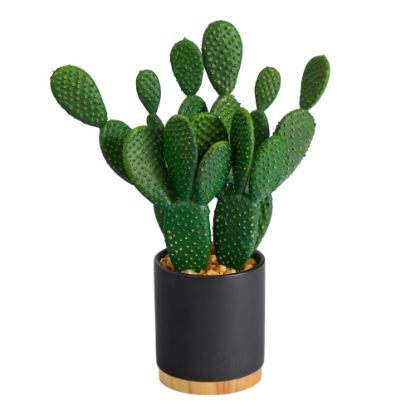 Picture of Nearly Natural Cactus Succulent 10inH Artificial Plant With Planter, 10inH x 6inW x 3inD, Green