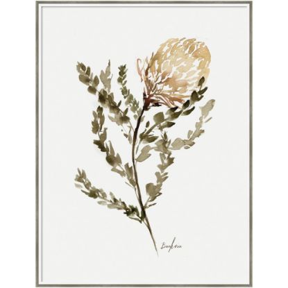 Picture of Amanti Art Wild Banksia by Sara Berrenson Wood Framed Wall Art Print, 31inW x 41inH, White