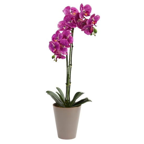 Picture of Nearly Natural Speckled Phalaenopsis Orchid 24inH Artificial Floral Arrangement With Vase, 24inH x 10-1/2inW x 6inD, Purple