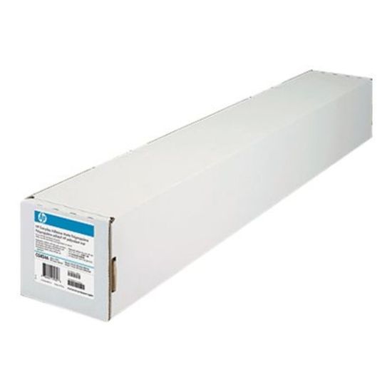 Picture of HP Everyday Inkjet Print Banner, 24in x 75ft