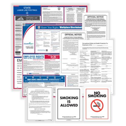 Picture of ComplyRight Public Sector Federal And State Poster Set, English, North Carolina