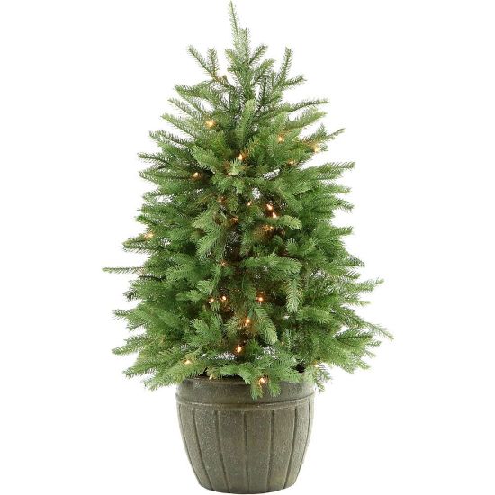 Picture of Fraser Potted Pine Tree With Clear Lights, 4ft, Green