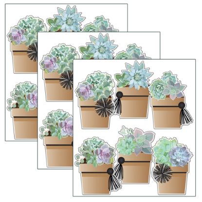 Picture of Carson Dellosa Education Cut-Outs, Schoolgirl Style Simply Stylish Potted Succulents, 36 Cut-Outs Per Pack, Set Of 3 Packs