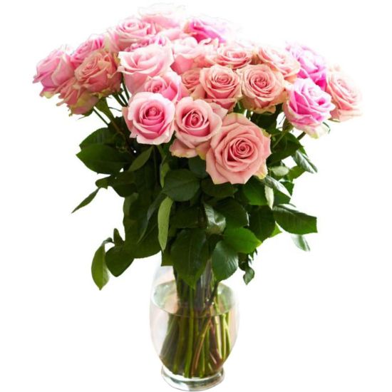 Picture of Rose Farmers Bi-Color Eyecatcher Long Stem Roses, Pink, Box Of 24 Roses