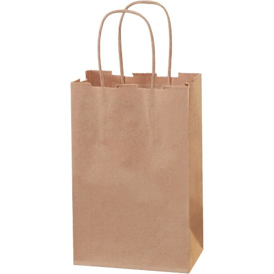 Picture of Partners Brand Paper Shopping Bags, 8 3/8inH x 5 1/4inW x 3 1/4inD, Kraft, Case Of 250