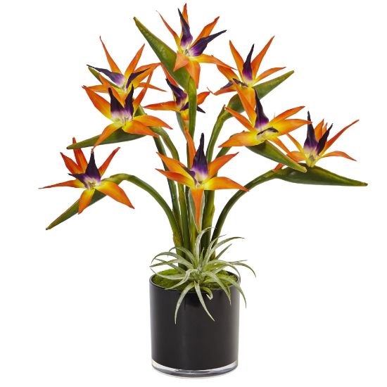 Picture of Nearly Natural Bird Of Paradise 24inH Plastic Silk Floral Arrangement With Black Glossy Cylinder Planter, 24inH x 20-1/2inW x 20-1/2inD, Orange