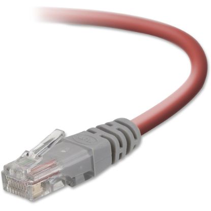 Picture of Belkin Cat5e Crossover Cable - RJ-45 Male Network - RJ-45 Male Network - 50ft - Yellow