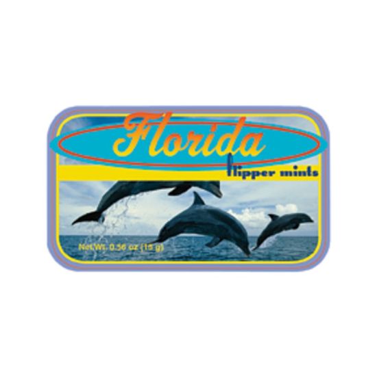 Picture of AmuseMints Destination Mint Candy, Florida Flipper, 0.56 Oz, Pack Of 24